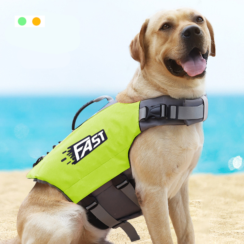 Giubbotto di Salvataggio per C - Life Jacket recensione e prezzo